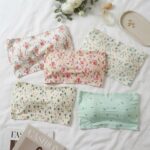Sylve Multi-Print Padded Non-Wired Tube Bra Combo Pack of 3