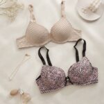 Sylve Mixed Bra Combo Pack of 2