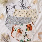 Sylve Seamless Printed Classic Panty Combo Pack of 4