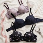 Sylve Printed Padded Wired Bra Combo Pack of 3