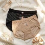 Sylve Striped Soft Stretchable Panty Combo Pack of 2