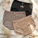 Sylve Striped Soft Stretchable Panty Combo Pack of 3