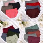 Sylve Solid Seamless Classic Panty Combo Pack of 3
