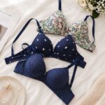 Sylve Printed Padded Non-Wired Bra Combo Pack of 3