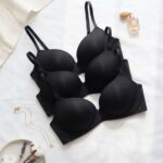Sylve Everyday Comfort Padded Non-Wired Bra Combo Pack of 3