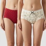 Sylve Soft Stretchable Panty Combo Pack of 2 Panty