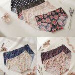 Sylve Seamless Printed Classic Panty Combo Pack of 2